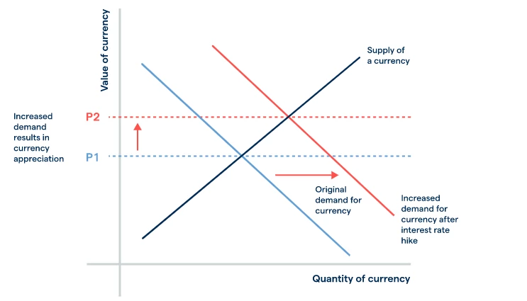 Wykres 1: wzrost wartości waluty względem jej ilości i atrakcyjności