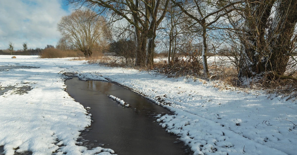 Zachmurzenie, deszcz i porywisty wiatr. Prognoza na wtorek