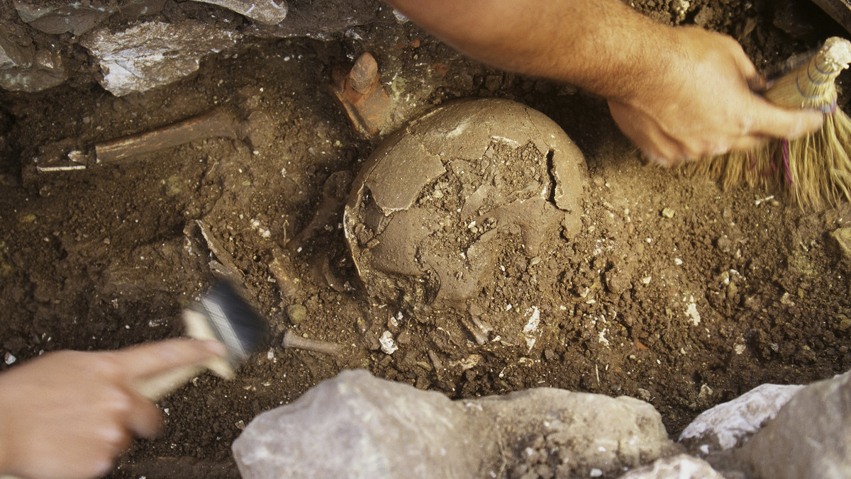 Popielnicowy grób wojownika z wyposażeniem pochodzący z okresu wpływów rzymskich odkryli w Czelinie (zachodniopomorskie) naukowcy z Muzeum Narodowego w Szczecinie. To kolejne zabytki znalezione na tamtejszym cmentarzysku słabo rozpoznanej grupy lubuskiej.