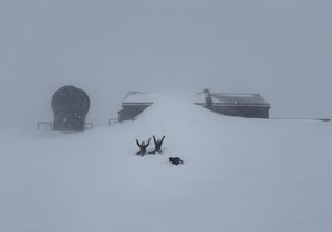 Sneg na Alpima
