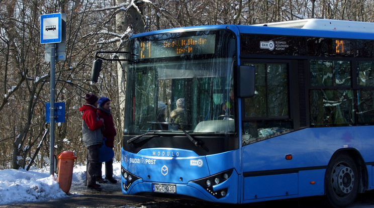 Az Eötvös úton a Normafa felé csak a BKK autóbuszai hajthatnak tovább /illusztráció: MTVA/Jászai Csaba