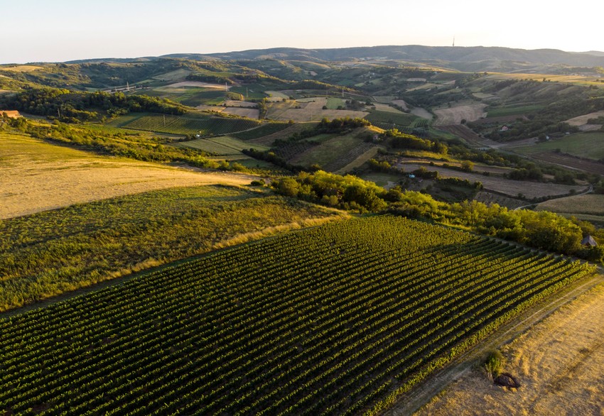 Fruška gora
