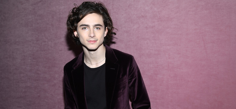 Timothée Chalamet: chłopak bez wad