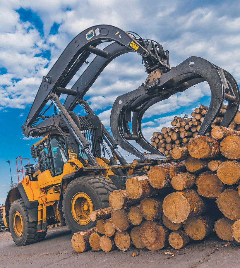 W ub.r. Polska wyeksportowała ok. 3 mln ton drewna, a sprowadziła 1,7 mln ton