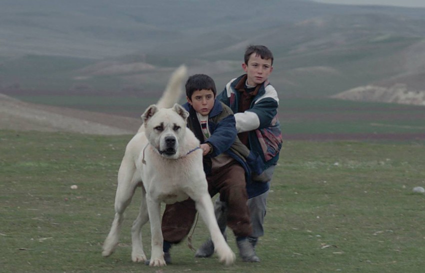 Turski film "Sivas"