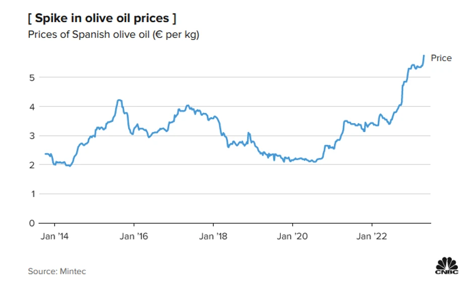 Cena maslinovog ulja na rekordnom nivou
