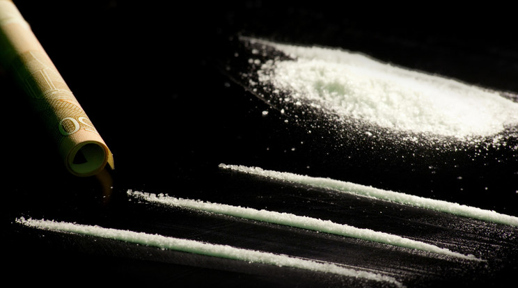 40 gramm kábítószergyanús anyagot találtak a dílereknél/Fotó:Northfoto