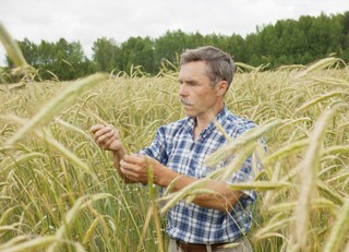 PIT będzie wyższy niż podatek rolny. Stracą rolnicy i samorządy