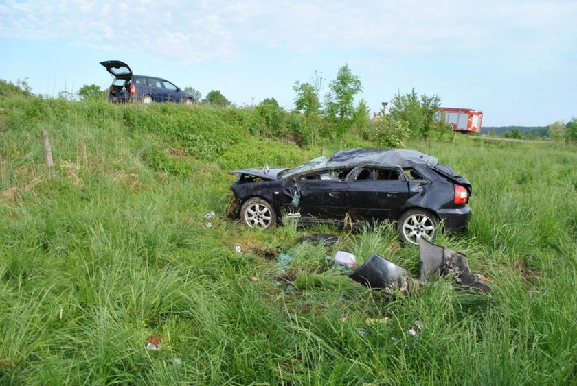 Policjanci pojechali do wypadku. Na miejscu mocno się zdziwili