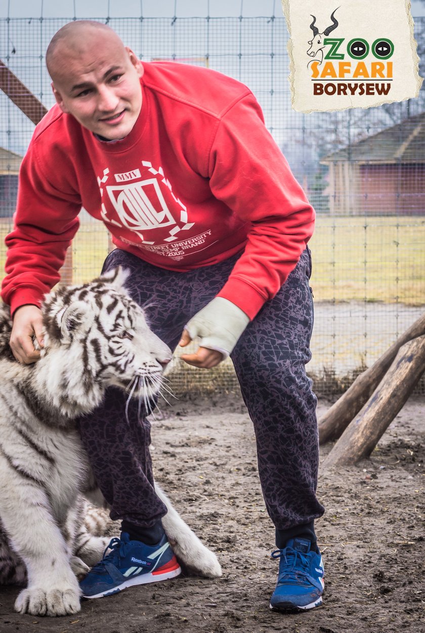 Artur Szpilka i Andrzej Wawrzyk bawili się z tygrysami