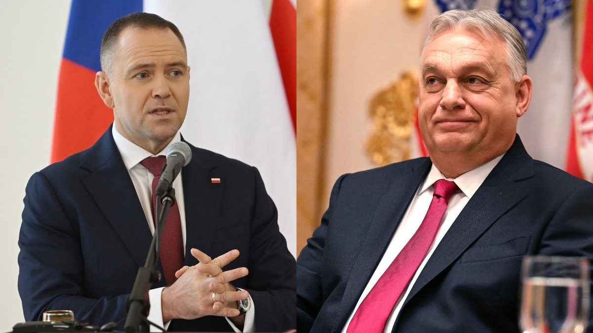 Polacy po stronie Karola Nawrockiego. Chodzi o spotkanie z Viktorem Orbanem [SONDAŻ]