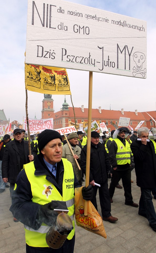 Marsz w obronie pszczół