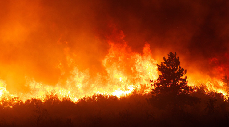 30 tűzoltó keresi a tűz gócpontját /Fotó: Shutterstock