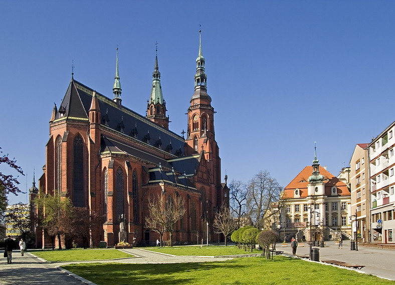 Legnica, katedra