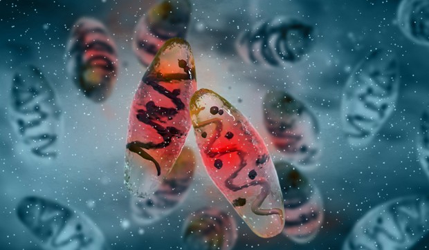 Kugu izaziva bakterija Yersinia pestis