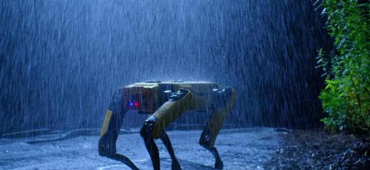 Robot Boston Dynamics trafia do sprzedaży. To pies-robot od firmy znanej z legendarnych filmików na YouTube