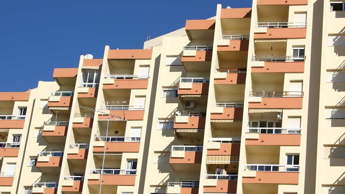 Pigeons on the balcony? Experts warn you how to remove them in accordance with the law