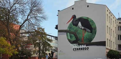 Nowy mural w Łodzi. Bocian czarny trafił na ścianę kamienicy przy ulicy Orlej. Podoba się?