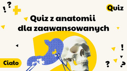 Ciało Quiz z anatomii dla zaawansowanych