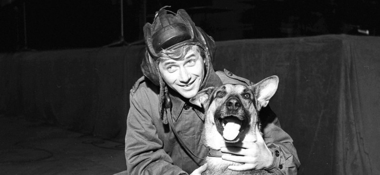 Najbardziej znany pies czasów PRL. Jak trafił na plan kultowego serialu?