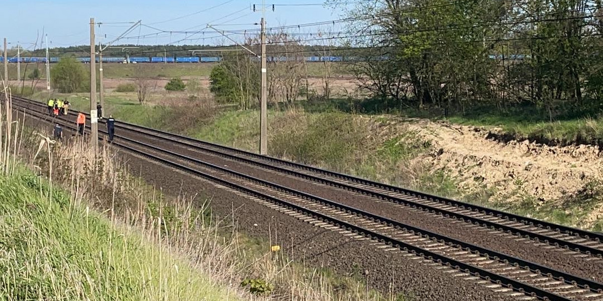 Chwile grozy przeżyli pasażerowie pociągu IC na trasie między Rzepinem a Frankfurtem. 