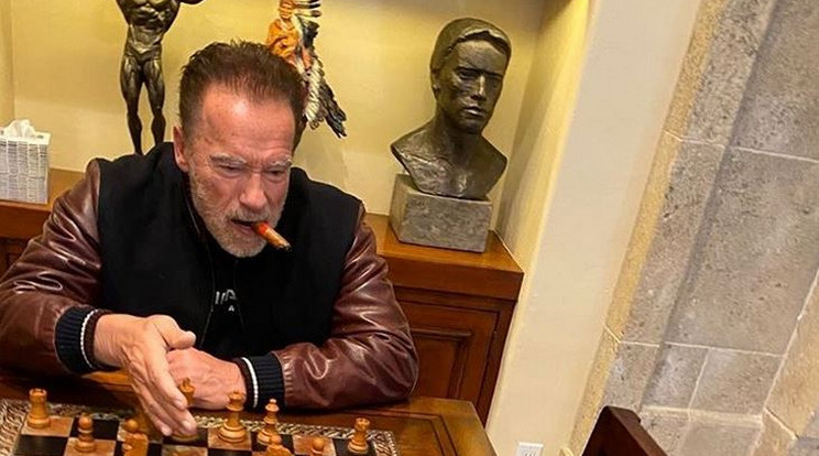 Arnold Schwarzenegger házi szamarával, Luluval próbált sakkozni otthonában /Fotó: Instagram