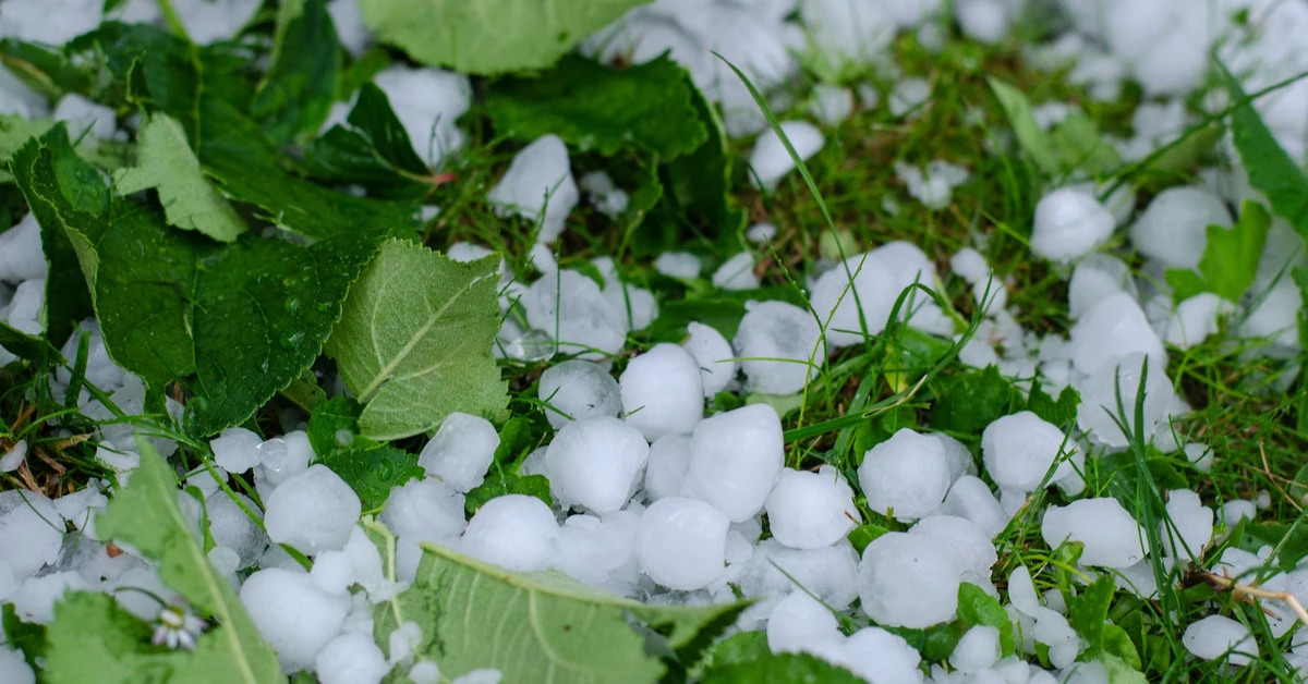 Przelotne opady deszczu, burze i grad. Prognoza pogody na niedzielę, 20 lipca