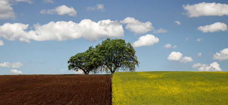 Alentejo - portugalska pustynia na granicy