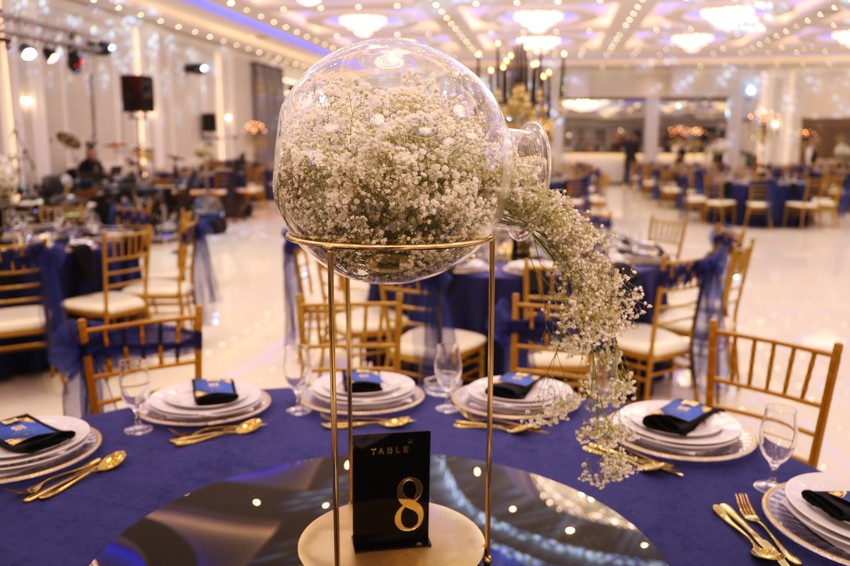 Punoletstvo sina Borka Radivojevića