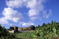 italy, tuscany, gaiole in chianti, broglio castle 