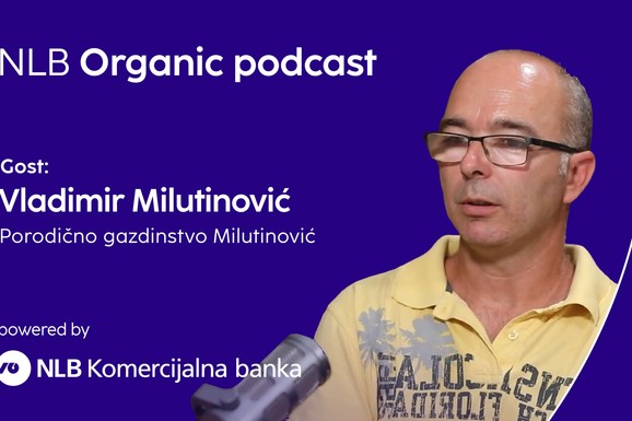 Napustio grad i na porodičnom imanju starom više od dva veka čuva ono što mnogi odbacuju: Vladimir uzgaja stare sorte koje nestaju iz naših bašta (VIDEO)