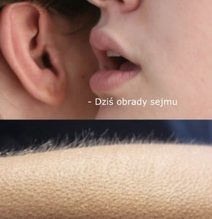 Najlepsze memy o obradach Sejmu