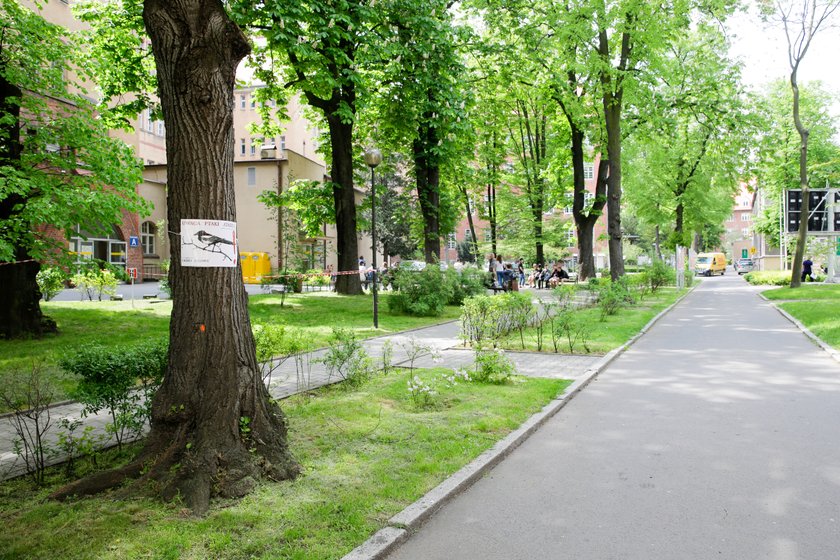 Pan wrona atakuje... studentów