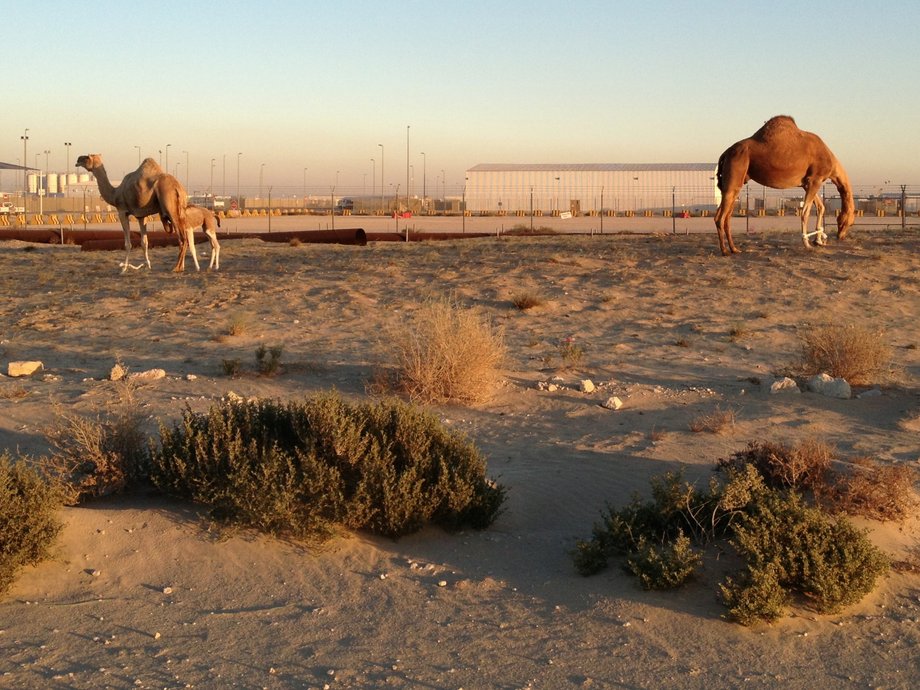 5. Al Jubail, Saudi Arabia - 152 µg/m3 of PM 2.5