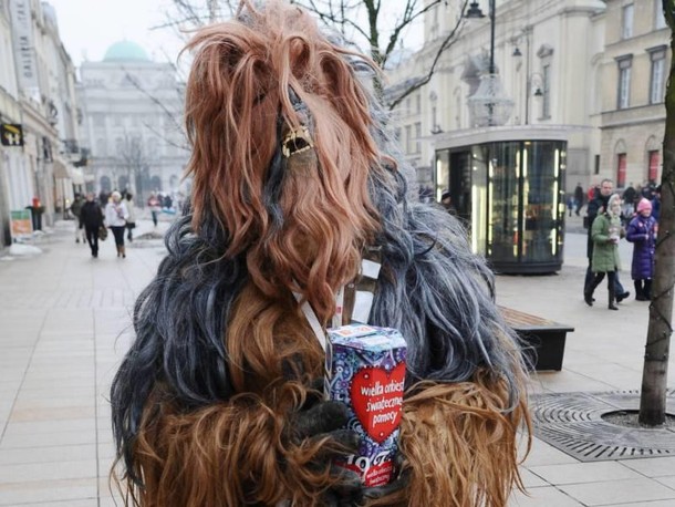 wośp warszawa Chewbacca