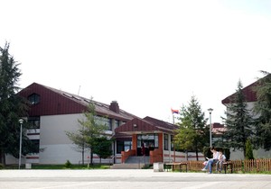 os nikola tesla vinca