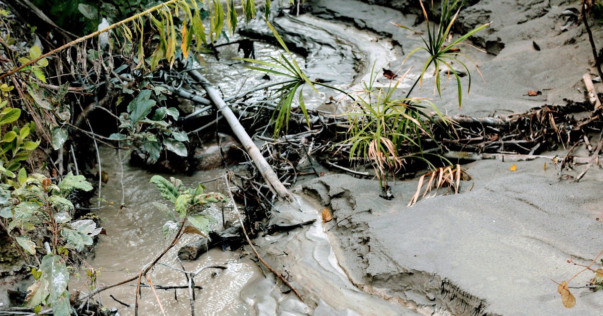 Chinese mining giant accused of poisoning Congo in toxic mine scandal linked to BMW, Mercedes, Peugeot, Volkswagen