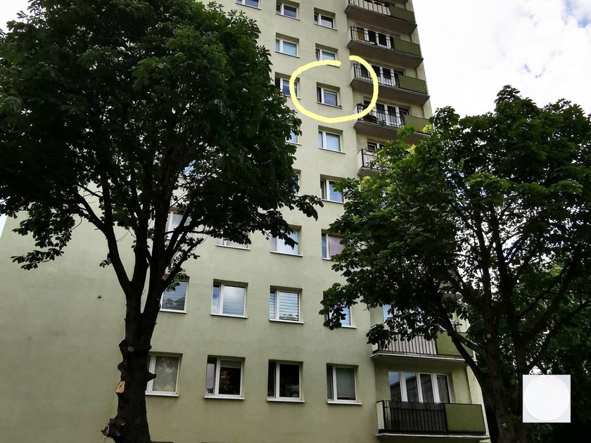 O krok od tragedii w Łodzi! Pies leżał na parapecie na szóstym piętrze