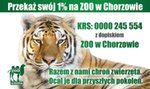 Każdy może pomóc chorzowskiemu Zoo