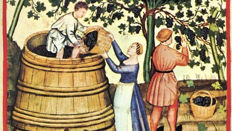 Historia winiarstwa w Polsce