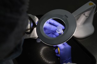 Pytania, które czekają na odpowiedź. Jak rozmawiać z przeciwnikiem?