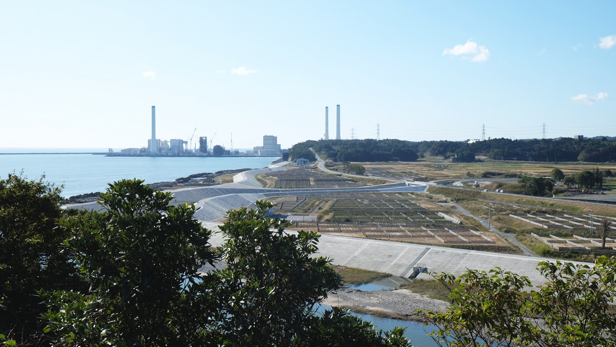 Japonia: prawie 10 lat po katastrofie w Fukushimie grzyby wciąż są radioaktywne