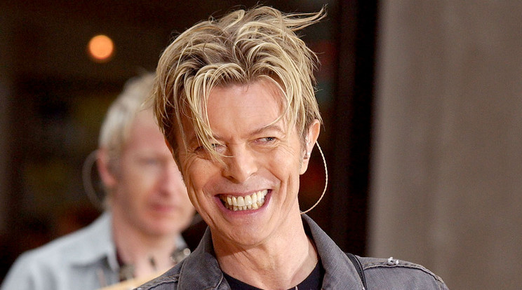 David Bowie / Fotó: Northfoto