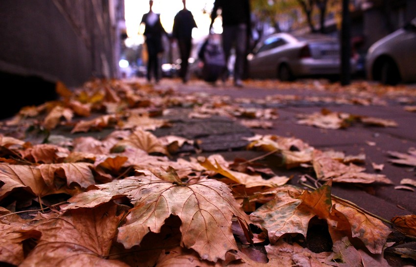 Crvena svetlost obasjala je Dorćol, foto: Mateja Beljan