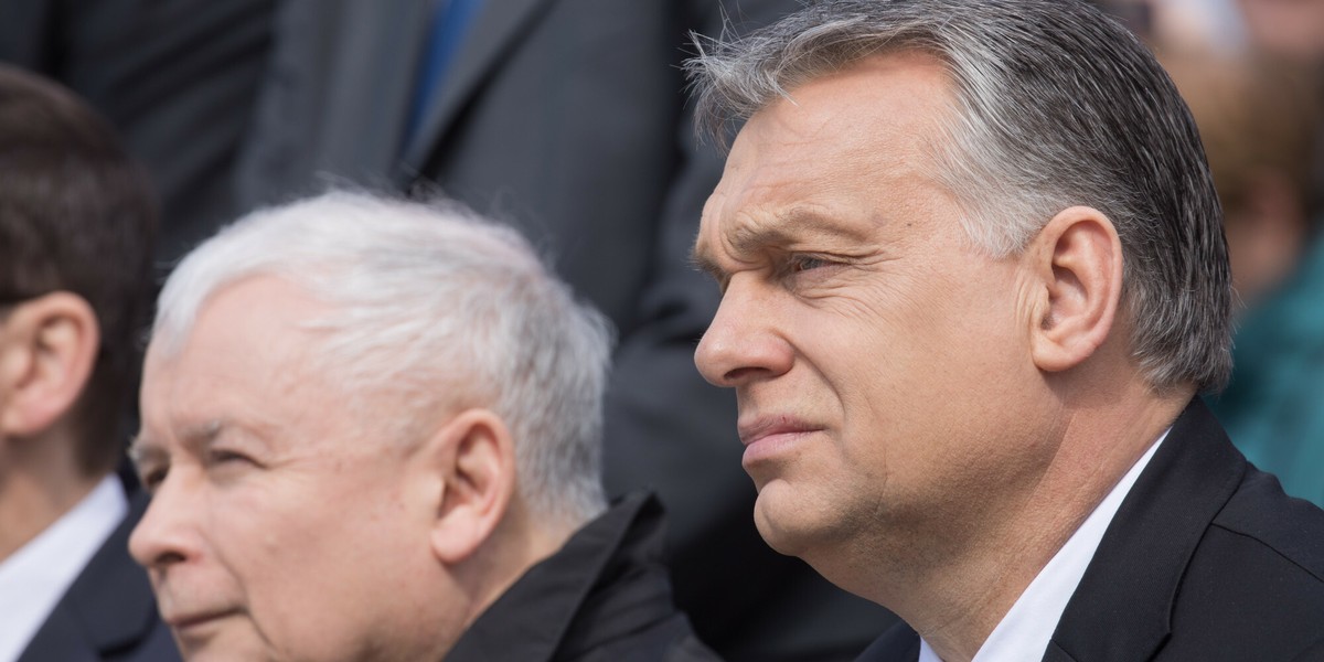 Instytucja powołana decyzją Jarosława Kaczyńskiego i Viktora Orbána.