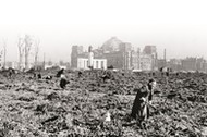 Berlin, Potato Cultivation / Photo 1945