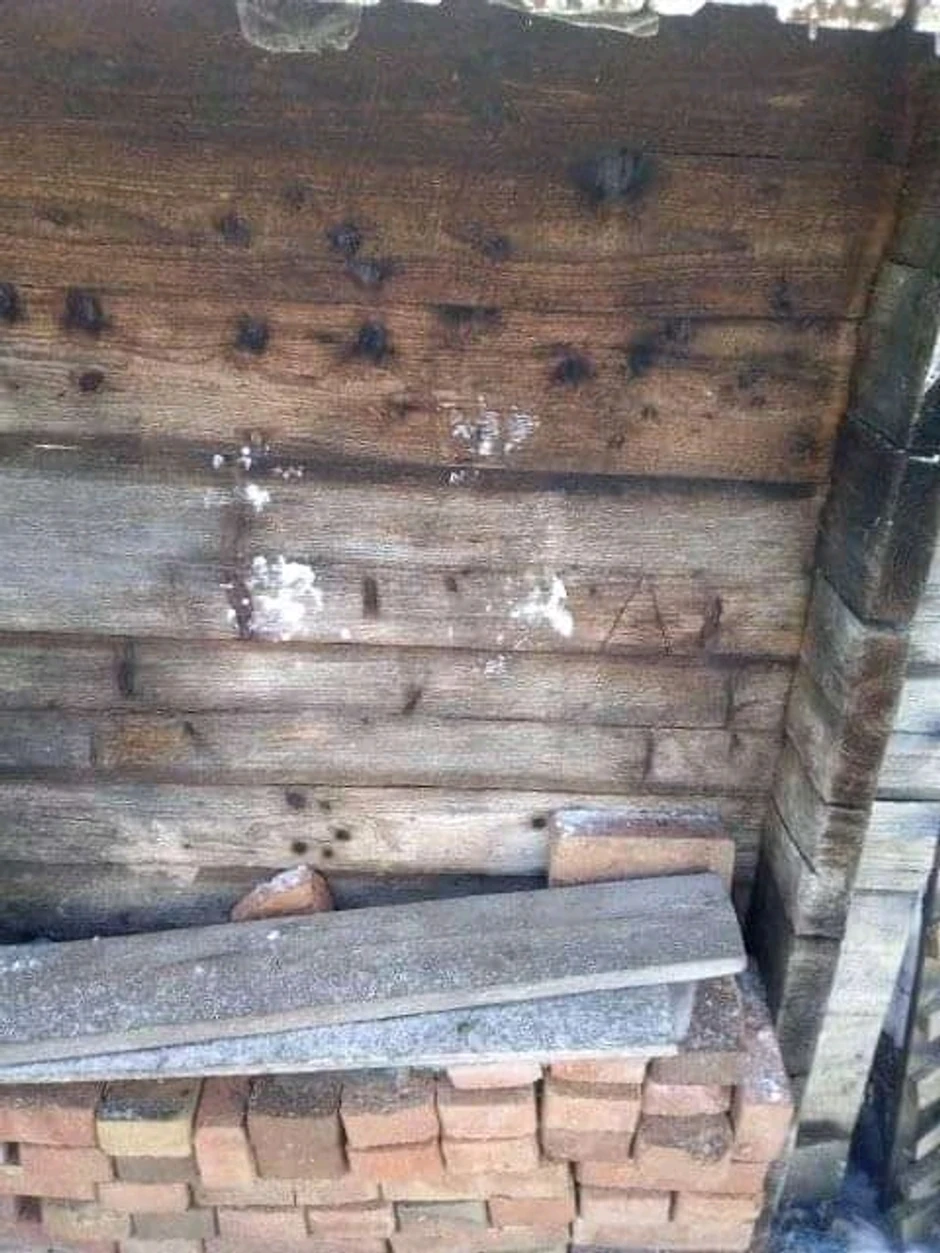 Medveđi tragovi na ambaru