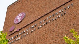 ultraszybkie monitorowanie kubitów: krok bliżej do stabilnych komputer