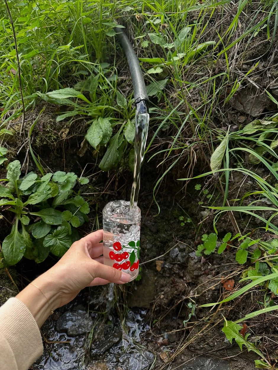 Dragica Zlatić pokazala imanje