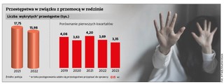 Przestępstwa w związku z przemocą w rodzinie